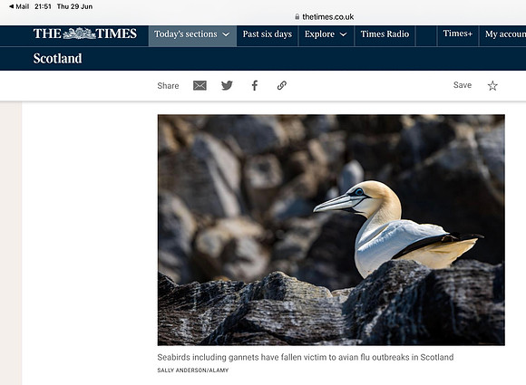 The Times