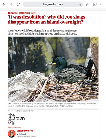 The Guardian