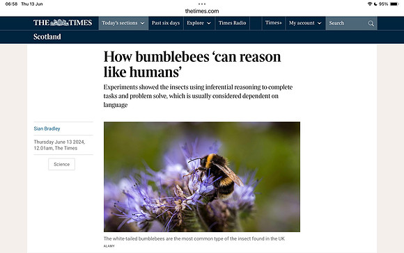 The Times